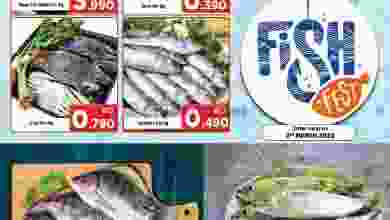 el3rod.com00002-66