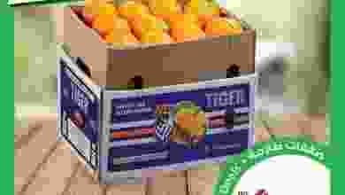 el3rod.com00008-307