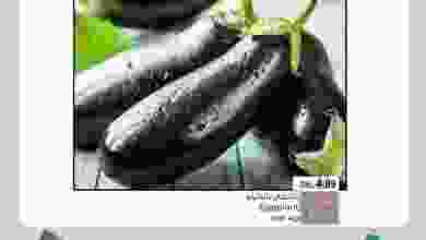el3rod.com00001-1098