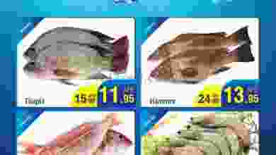 el3rod.com00001-1135
