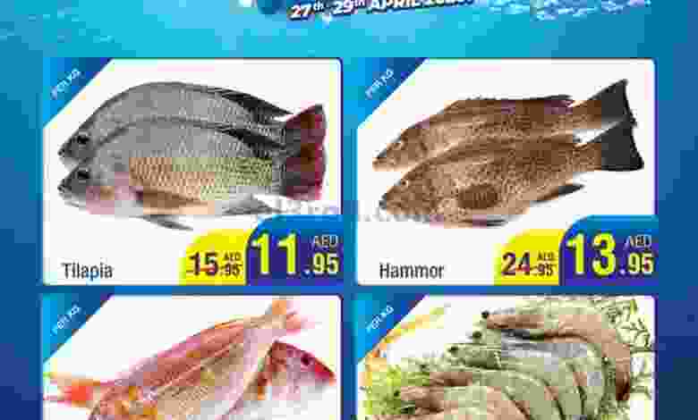 el3rod.com00001-1135