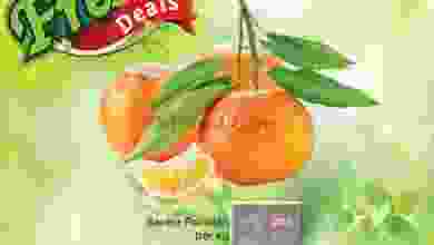 el3rod.com00001-1265