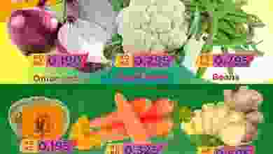 el3rod.com00001-221
