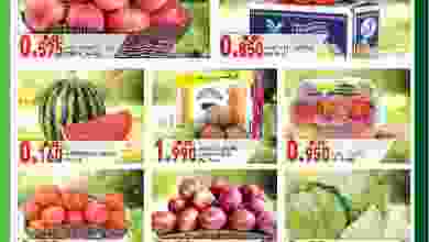 el3rod.com00001-249