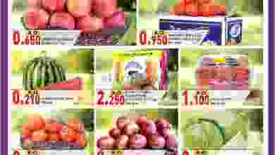 el3rod.com00001-259