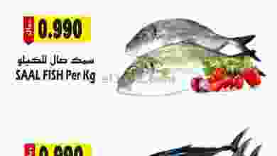 el3rod.com00001-275