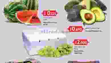 el3rod.com00001-286