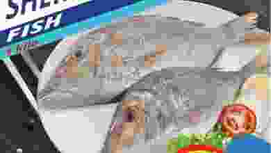 el3rod.com00001-491