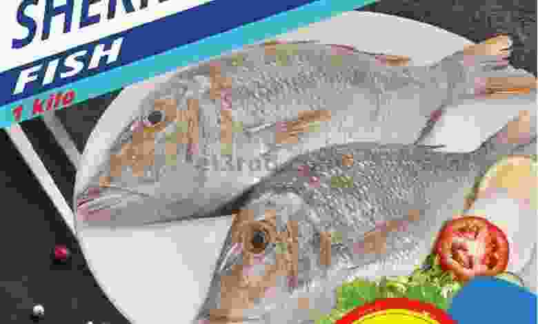 el3rod.com00001-491