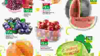 el3rod.com00001-494