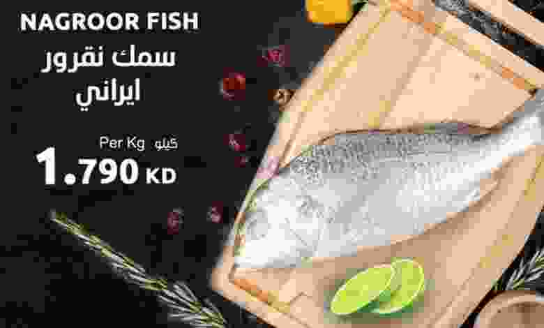 el3rod.com00001-506