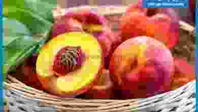 el3rod.com00001-602