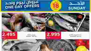el3rod.com00001-623