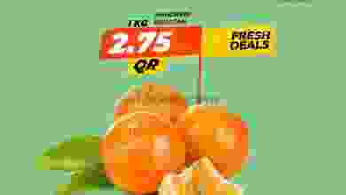 el3rod.com00001-627
