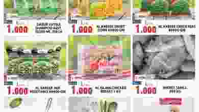 el3rod.com00001-646
