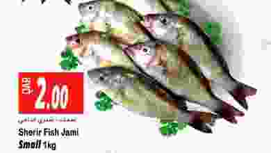 el3rod.com00001-650