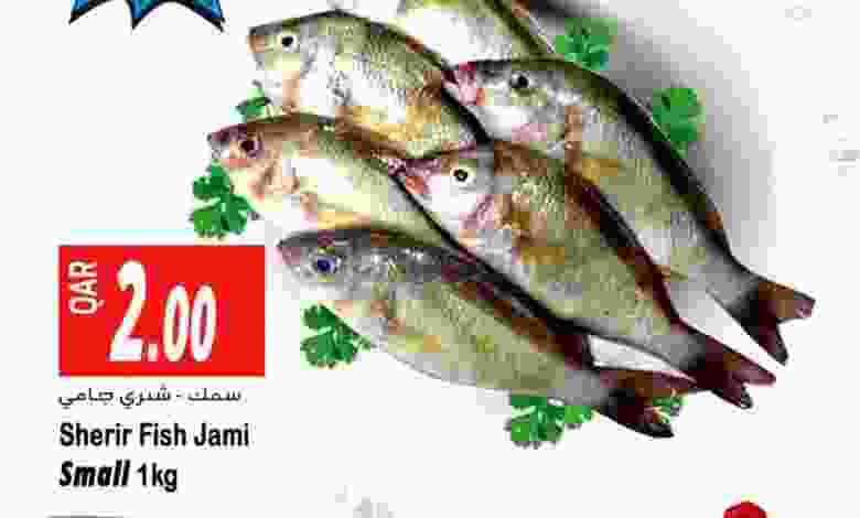 el3rod.com00001-650