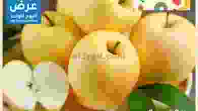 el3rod.com00001-736