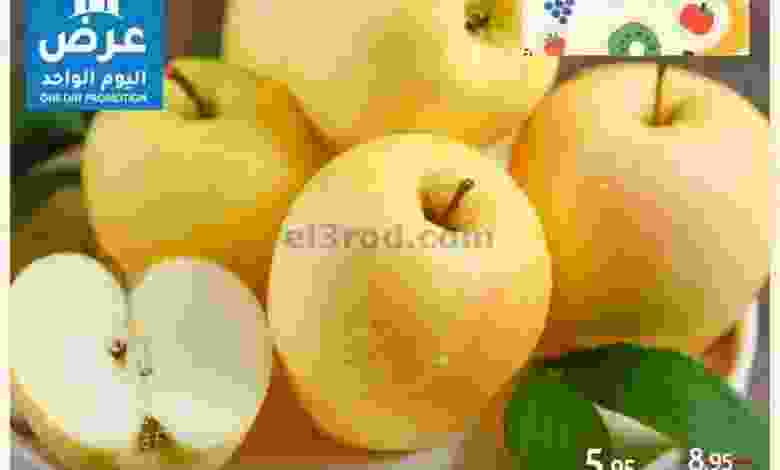 el3rod.com00001-736