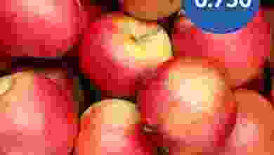 el3rod.com00001-741