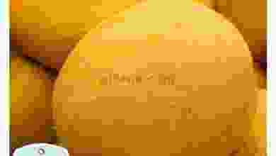el3rod.com00001-742