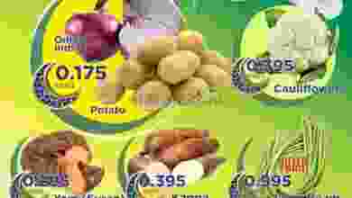 el3rod.com00001-823