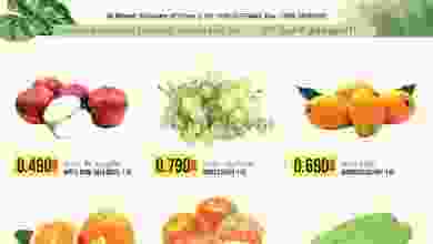el3rod.com00001-845