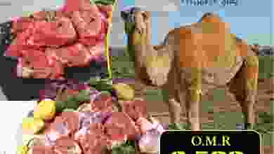 el3rod.com00001-873