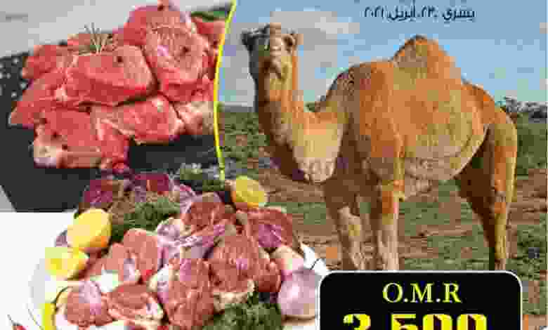 el3rod.com00001-873