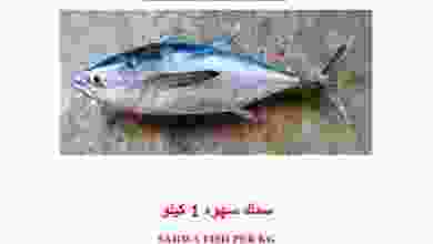 el3rod.com00001-874