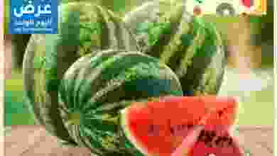 el3rod.com00001-929