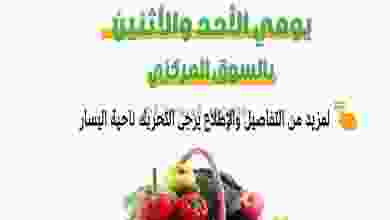 el3rod.com00001-955