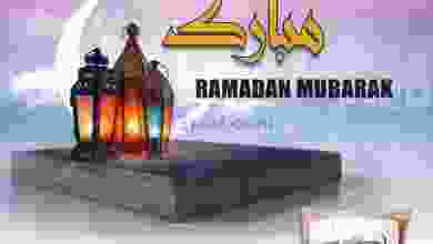 el3rod.com00003-510