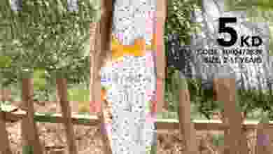 el3rod.com00004-315
