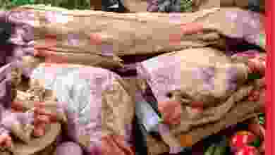el3rod.com00004-428
