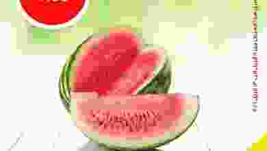 el3rod.com00012-118