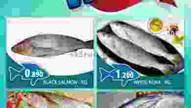 el3rod.com00001-157