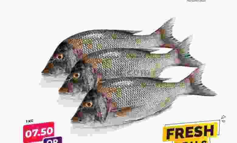 el3rod.com00001-316