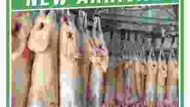 el3rod.com00001-365