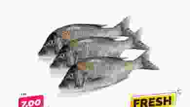 el3rod.com00001-419