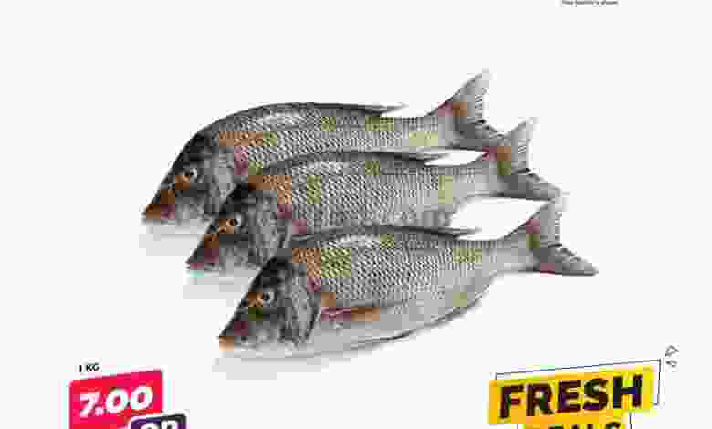 el3rod.com00001-419