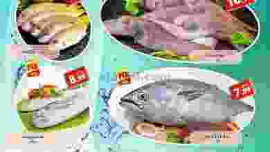 el3rod.com00001-43
