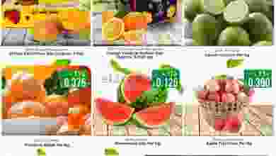 el3rod.com00001-454