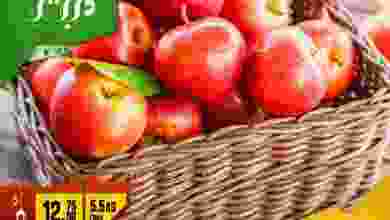 el3rod.com00001-470