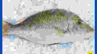 el3rod.com00001-504