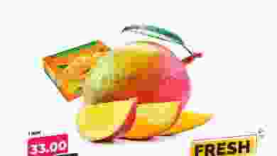 el3rod.com00001-517