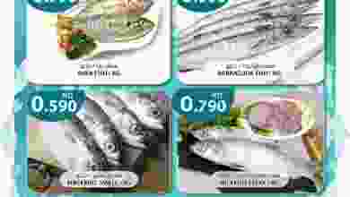 el3rod.com00001-546