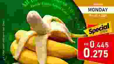 el3rod.com00001-552