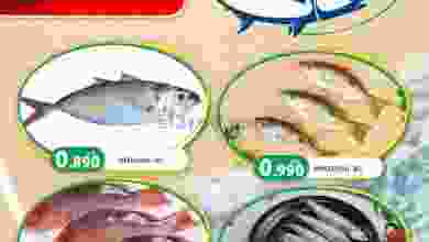 el3rod.com00001-578
