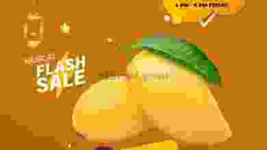 el3rod.com00001-59